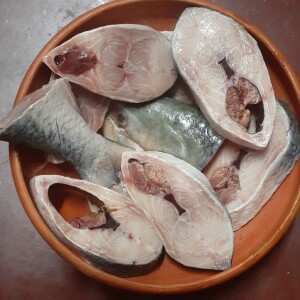 Hilsha fish (Rokomari Sodai)