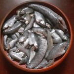পাঁচমিশালী মাছ (Rokomari sodai)