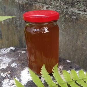 Natural Sundarban Honey Khalisha Ful ( খলিশা ফুলের মধু) 1 KG