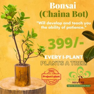 Bonsai (Chaina Bot)