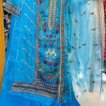 New Pakistani Catalog  Dress