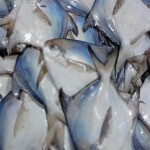 রূপচাঁদা মাছ (Rupchanda fish)