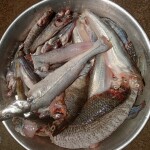 পাঁচমেশালি মাছ( mixed fish)