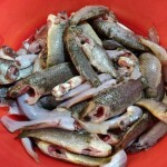 পাঁচমেশালি মাছ( mixed fish)