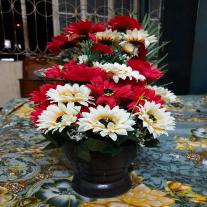 Flower Vase - Red and White